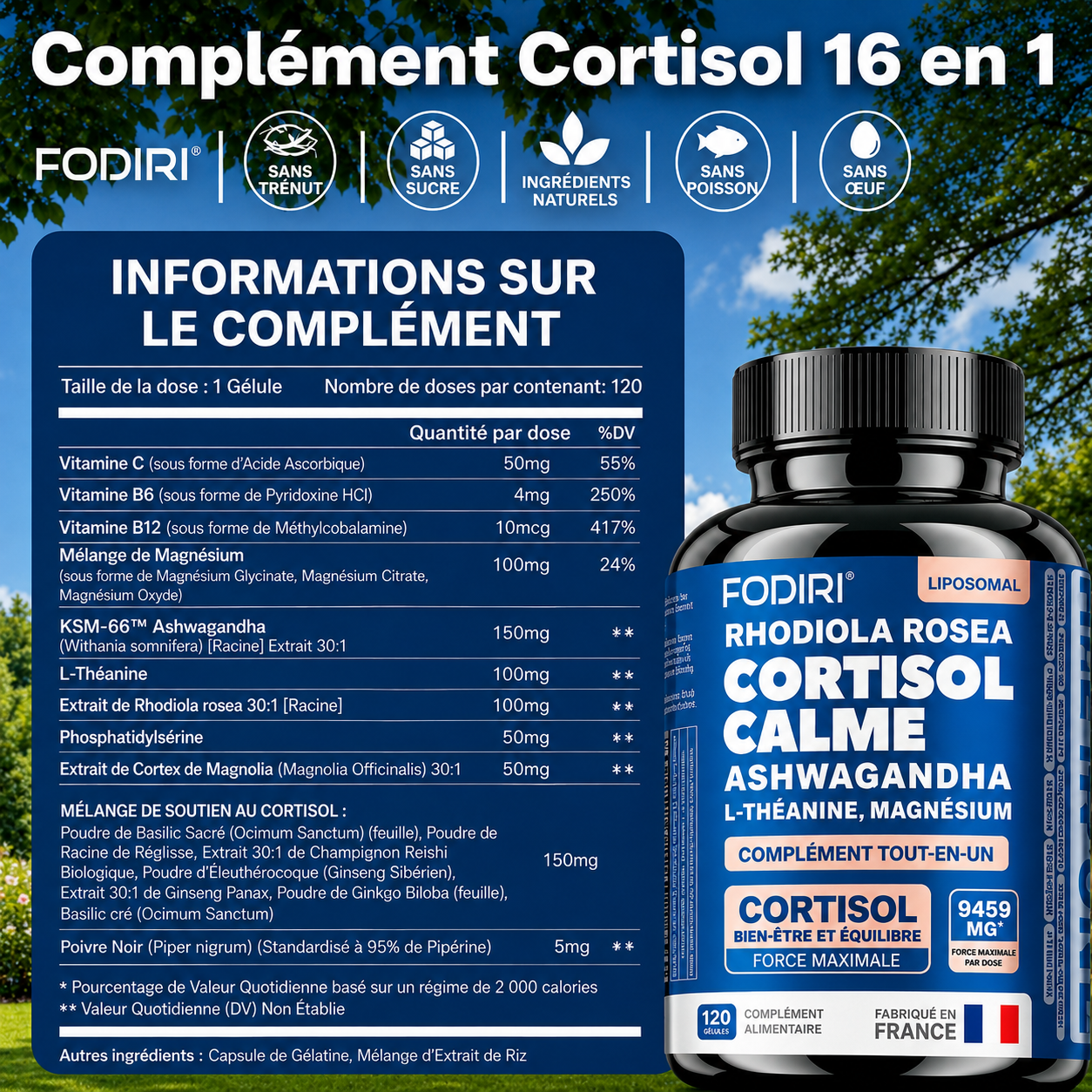 Ashwagandha	KSM-66,	Rhodiola	&	L-Théanine	—	Fodiri
