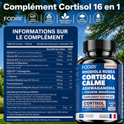 Ashwagandha	KSM-66,	Rhodiola	&	L-Théanine	—	Fodiri