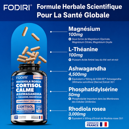 Ashwagandha	KSM-66,	Rhodiola	&	L-Théanine	—	Fodiri
