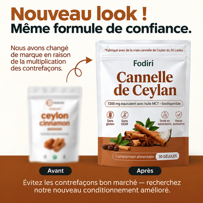 Fodiri™ Cannelle de Ceylan | Équivalent à 7 200 mg avec Huile TCM (MCT) – 30 Gélules Molles