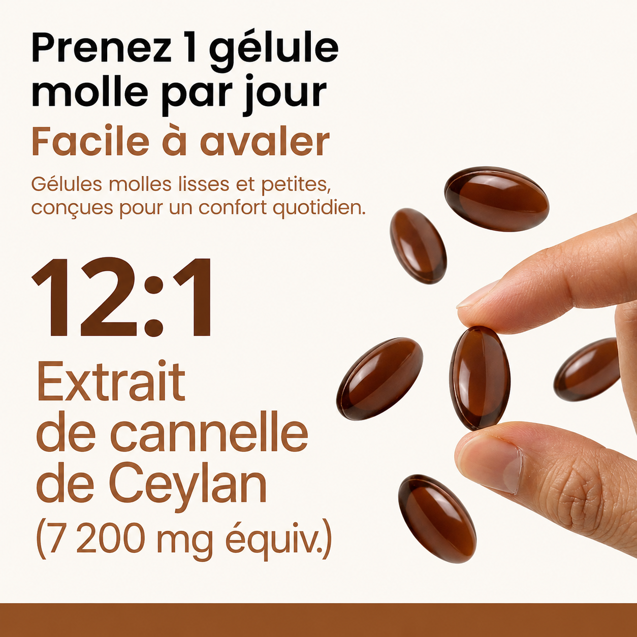 Fodiri™ Cannelle de Ceylan | Équivalent à 7 200 mg avec Huile TCM (MCT) – 30 Gélules Molles