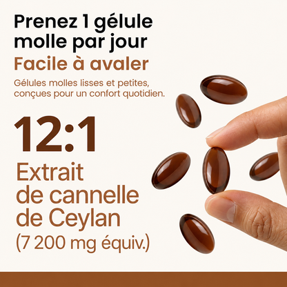 Fodiri™ Cannelle de Ceylan | Équivalent à 7 200 mg avec Huile TCM (MCT) – 30 Gélules Molles