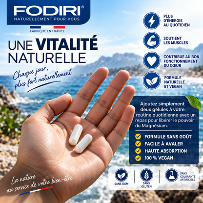 Complexe de Magnésium 12-en-1 + Vitamines B — Fodiri
