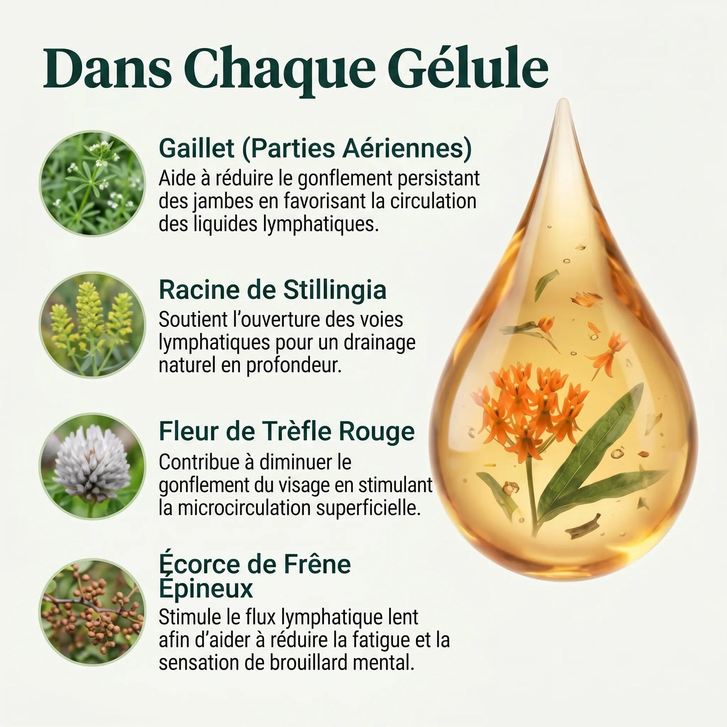 Drainage lymphatique